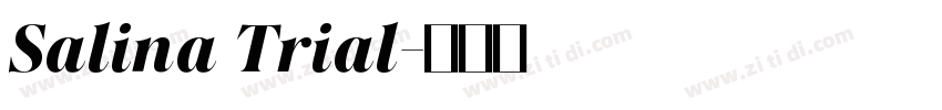 Salina Trial字体转换